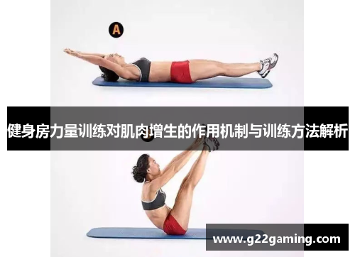 健身房力量训练对肌肉增生的作用机制与训练方法解析